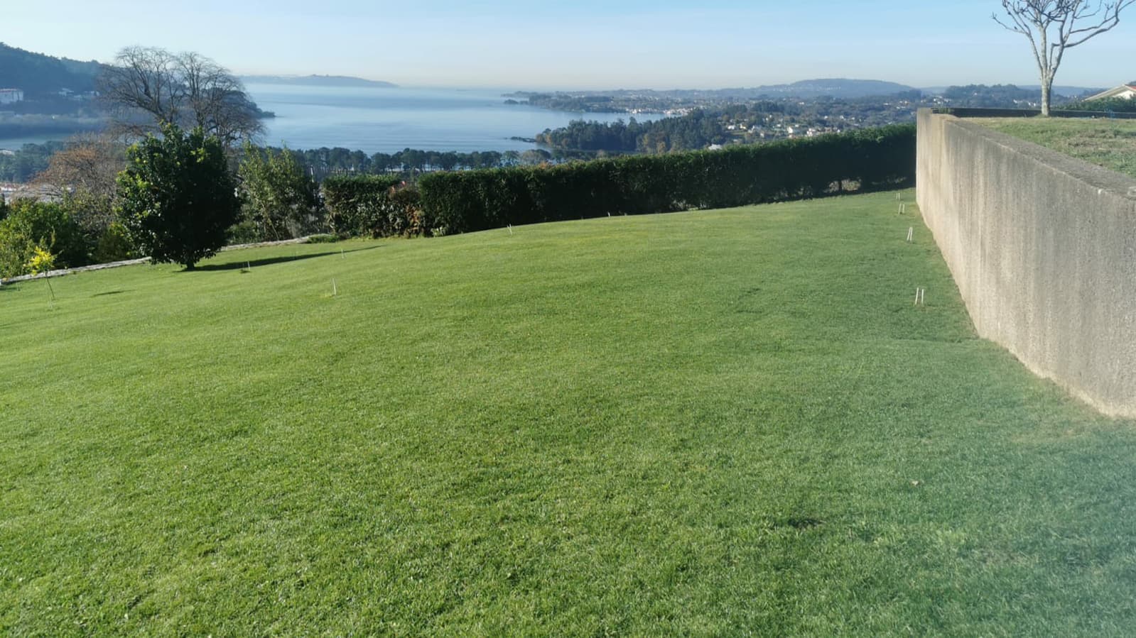 Mantenimiento de jardines y fincas en Ferrol y A Coruña